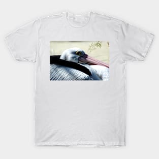 Pelican Eye T-Shirt